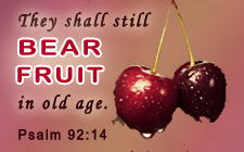 They will STILL bear fruit in old age.
